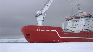 Dưới lớp băng Nam Cực là hàng ngàn tổ cá có hình dạng kỳ lạ 