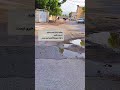 واقعا ته ش هیچی نیست جنوب میناب بندرعباس زندگی جنوبگردی بومگردی هرمزگان هرمز قشم سوغاتی واقعا ته ش هیچی نیست جنوب میناب بندرعباس زندگی جنوبگردی بومگردی هرمزگان هرمز قشم سوغاتی