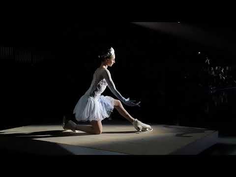 Ледовое шоу "Лебединое озеро" Плющенко - Ice Show "Swan Lake" Plushenko