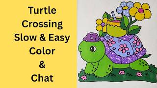 Live Slow and Steady Like A Turtle ~Adult Color and Chat ~The Easy Peasy Way Camera Feed