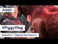 Clipping Vanir Kamira | Episode 6 | #PiggyVlog 2021 | Piggy March