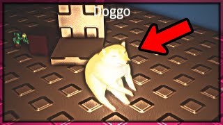 Chú Chó Này Đã Đến Khi Nhà Tôi Cúp Điện Lights Miiz