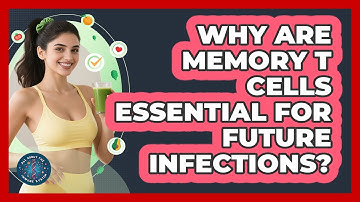 Why Are Memory T Cells Essential For Future Infections? - All About the Immune System