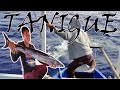 SULIT NA SULIT|TANIGUE AT IBA PA|  FISHING ADVENTURE