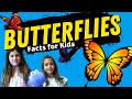Butterfly Facts for Kids | Butterfly Life Cycle