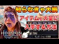 【ホライゾン フォビドゥンウェスト】ほとんどの方が知らない 素材集めや金策をチート級にする方法など
