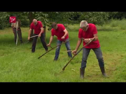 Video: Hoe Maai Je Het Gras Met Een Zeis? Hoe Leer Je Stap Voor Stap Een Manuele Schuine Vrouw En Man Goed Te Maaien? Gras Maaien Met Een Gewone Kleine En Grote Zeis