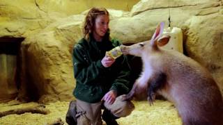 They say you should never work with animals or children