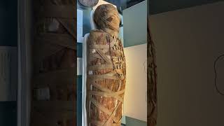Mummies in British Museum