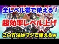 【SAO IF】効率のいいレベル上げ（経験値稼ぎ）【ソードアートオンライン　インテグラルファクター】