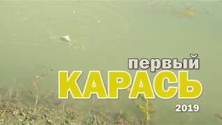 Первый карась в этом году