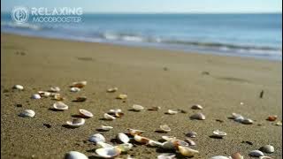 Relaxing music beach and seashore sound | Musik relaksasi suara ombak pantai