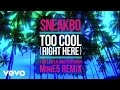 Sneakbo Too Cool Right Here Ft Nyla Popcaan mp3
