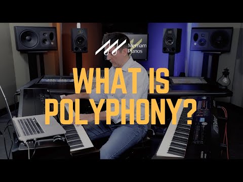 Videó: Polyphony Digital Masters 1080p240 Játékmenet