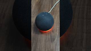 How to reset alexa to setup mode