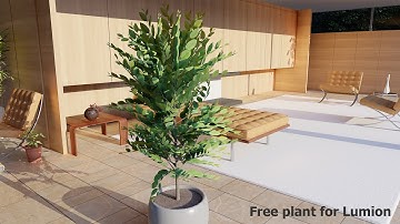 Free plant for Lumion | Lumion Easy