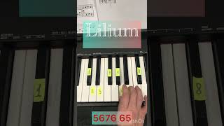 Elfen Lied Lilium  Tutorial  elfenlied lilium pianotutorial piano  
