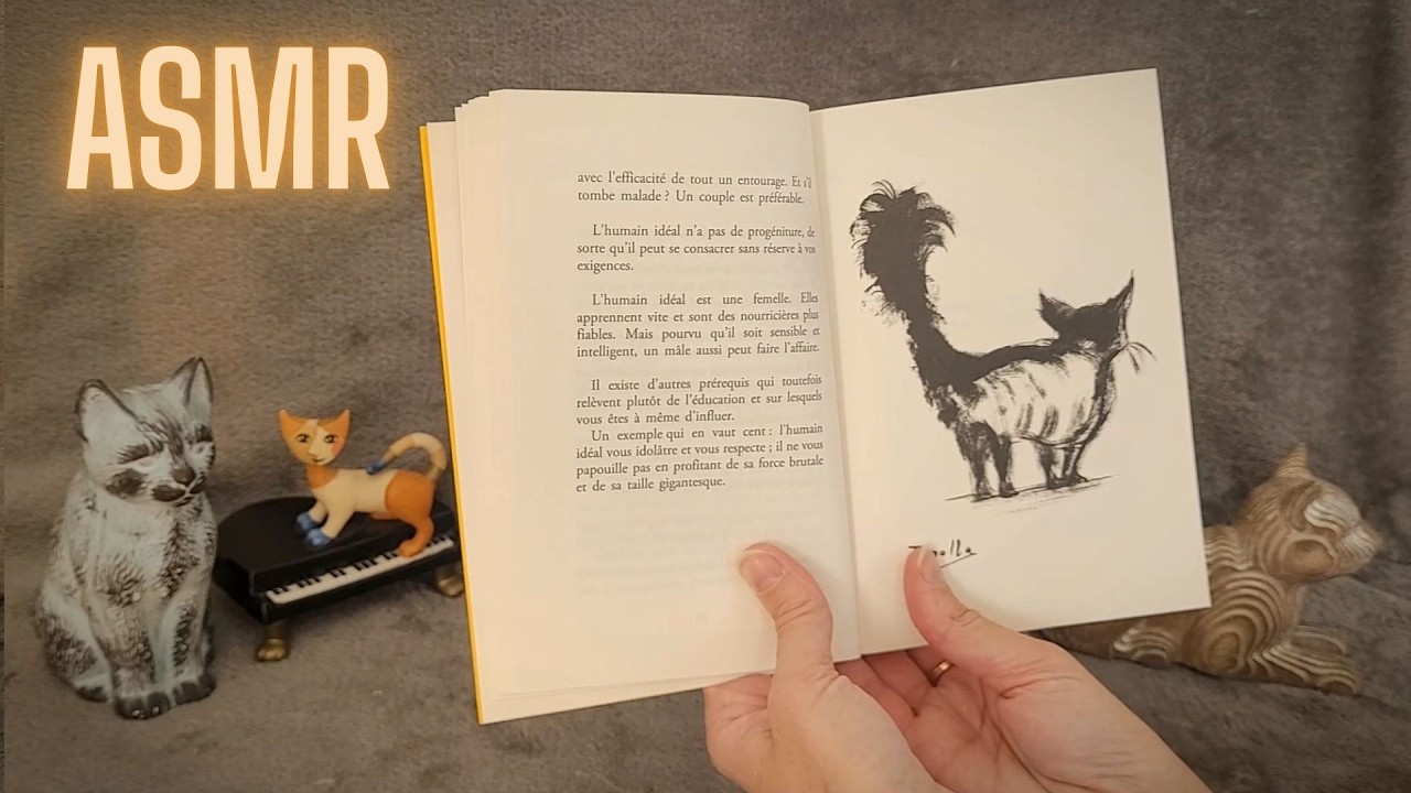 ASMR - Comment les chats domestiquent leurs humains 😻😹