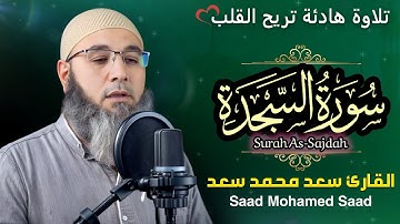 ختمة المصحف المرتل ( سورة السجدة Surah As-Sajdah ) تلاوة خاشعة