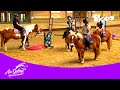  au galop  i des champions en herbes i saison 3 pisode 5