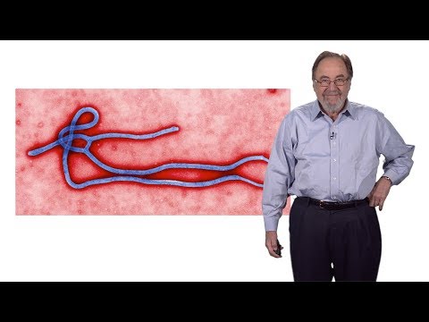 David Baltimore (Caltech): Introduction to Viruses