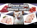 Raw Cat Food: Does the MEAT you use make a difference? (My observations!) - Cat Lady Fitness