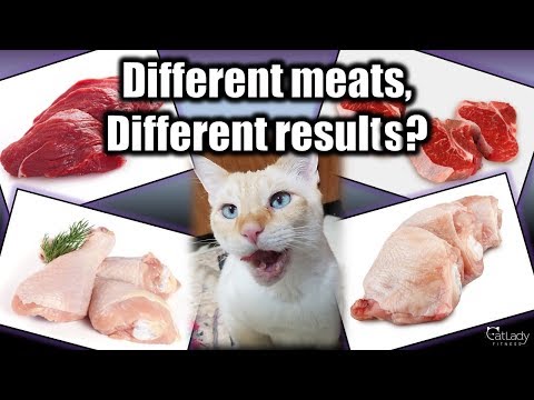 raw-cat-food:-does-the-meat-you-use-make-a-difference?-(my-observations!)---cat-lady-fitness