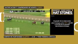 GP Jockey Club 2016 Hat Stones
