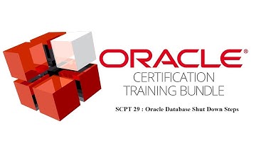 SCPT 29 : Oracle Database Shut Down Steps