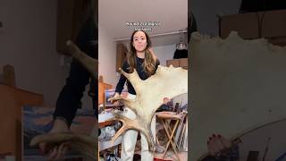 Round 2! #alaska #art #painting #moose #antler