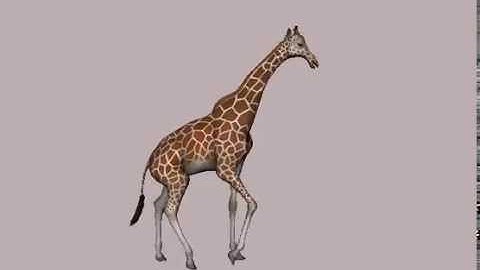 Giraffe Walk Cycle