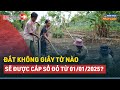 Nhng loi t khng giy t no s c cp s  t 01012025  luatvietnam