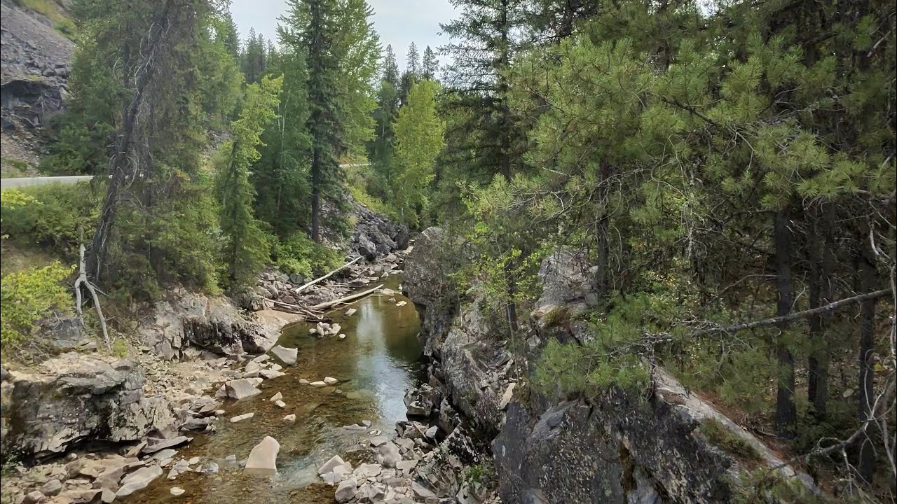 Solo camping in BC: bushwhacking into remote rivers, exploring fire lookouts, and a ton of fishing