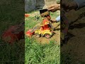 buldozer vs buldozer #likeandsubscribe #comment #comedyvideo #tranding