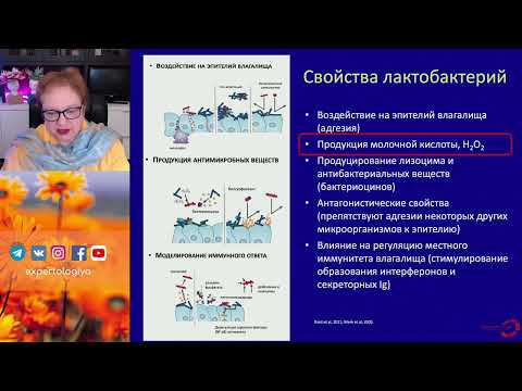 Пробиотики, пребиотики, постбиотики и синбиотки в гинекологии l Пустотина О.А.