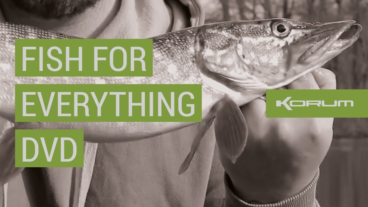 KORUM 'FISH FOR EVERYTHING' DVD '17