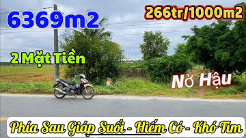 LẦN ĐẦU THẤY! Hơn 6.300m² NỞ HẬU CỰC ĐẸP, 2 MẶT TIỀN NHỰA + SUỐI SAU NHÀ – VỊ TRÍ QUÁ HIẾM CÓ!
