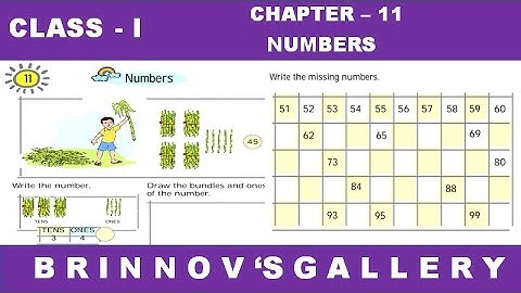 Class 1 | Maths | Chapter 11 | Numbers | NCERT | class 1 maths chapter 11 numbers | learn numbers