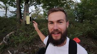 Engage Your Curiosity