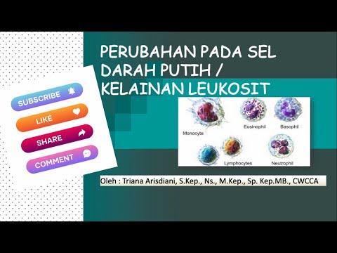 Video: Apakah yang menyebabkan hipermutasi somatik?