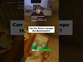 Can Dr. Donut escape the Backrooms? #backrooms #drdonut #minecraft