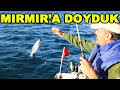 Mercan ve Mırmır' a doyduk!