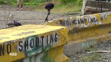 Halo Infinite Sound Design: Field Recording 18