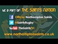Saints v Scarlets LV= Cup SF: Scott Armstrong Preview