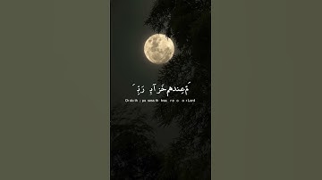 محمد صديق المنشاوي ﴿ أَمْ خُلِقُوا مِنْ غَيْرِ شَيْءٍ أَمْ هُمُ الْخَالِقُونَ﴾سورة الطور
