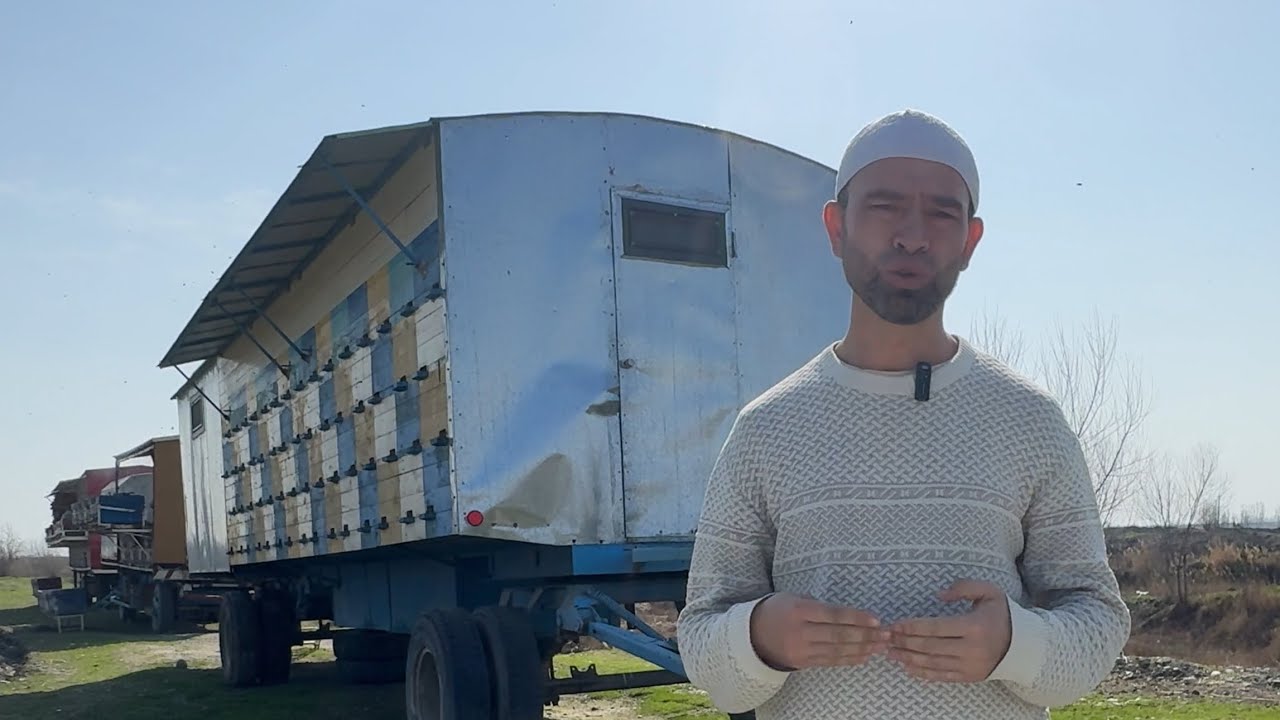 Ромкаларни самарали асраймиз