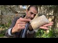 أقوي ملين ومقوي للأعصاب والعظام ومنشط للكبد مضاد سعال وحمي والتهاب فوائد الشعير لا تصدق