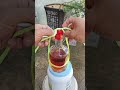 Pega de garrafa modificada com nós - dicas ecológicas
