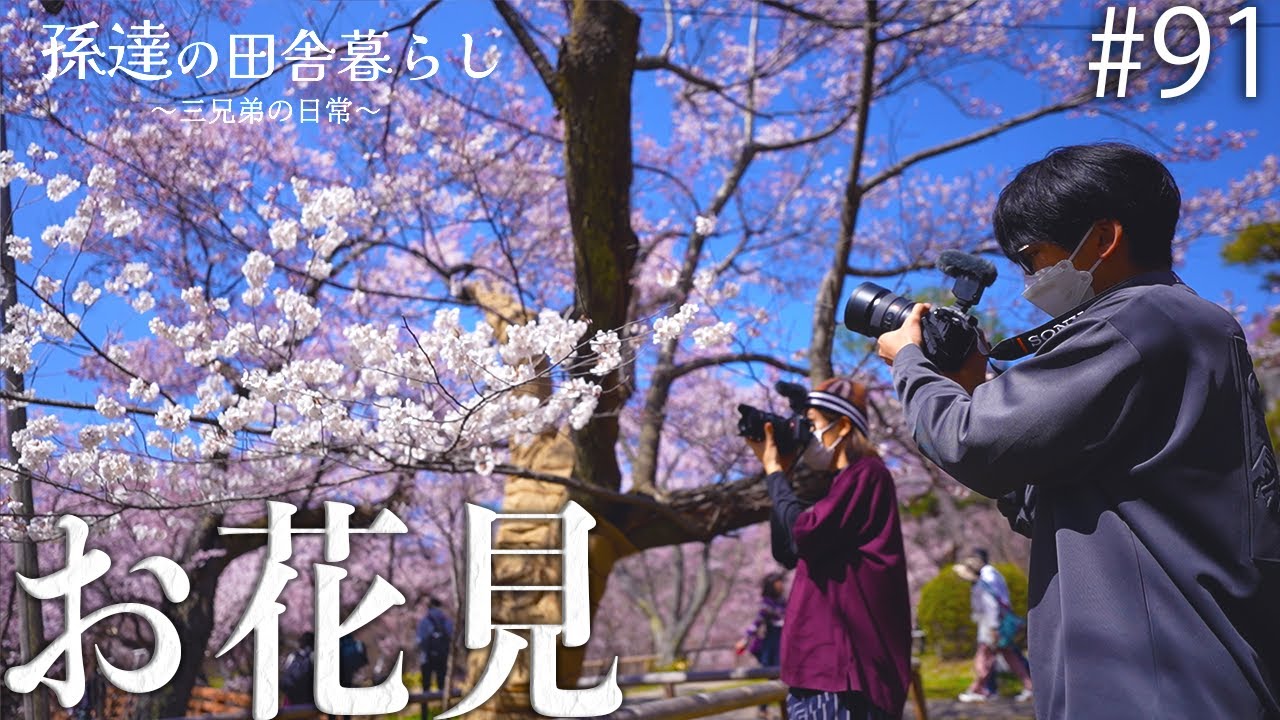【絶景】日本三大桜の名所の地へお花見に行ったら、あまりにも綺麗な景色に感動しました… #91