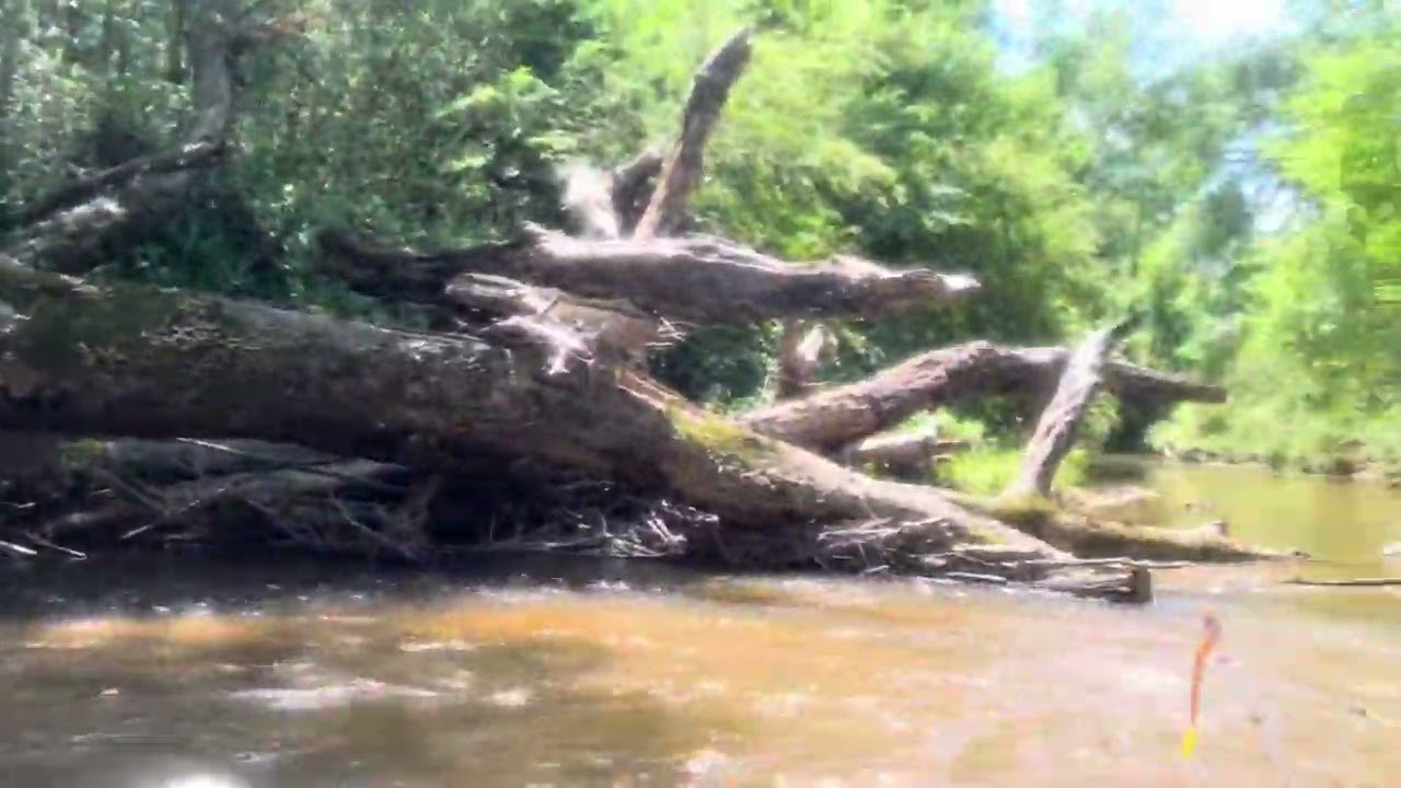 My first video rapids and bass fishing